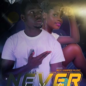 Never Let You Go by Roy Vanpee and Ritah Kats